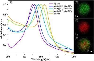 Plasmon Enhanced Fluorescence and Raman Scattering by [Au-Ag Alloy NP Cluster]@SiO2 Core-Shell Nanostructure